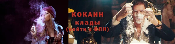 стаф Балахна
